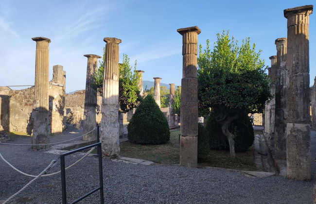 Escursione a Pompei - Foto 3