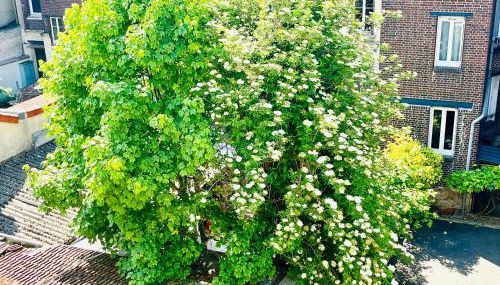 Luxury à 10mn du Centre de Paris & Free Parking - Foto 4
