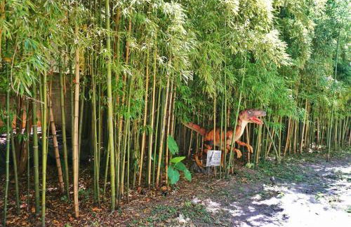 Massive 9BDR Courtyard Estate Near Forsyth Park - Foto 42