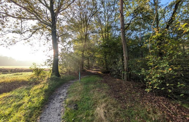 Holiday Home in Haarle Near Sallandse Heuvelrug - Foto 21