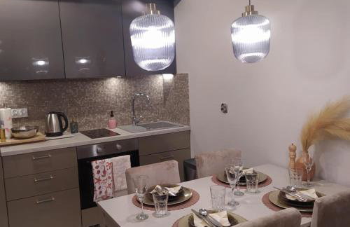 Apartamenty Centrum Warszawska 66 niebieski i różowy - Photo 41