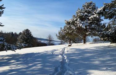 Jurkowa Wola - Foto 33