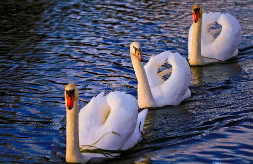 Holiday house Leona - Foto 72