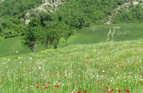 Villa Cavagnetti - Foto 27