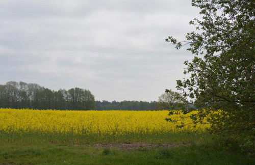 Pension up´n Dörp - Foto 35