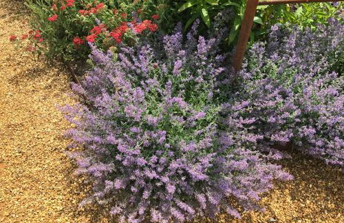 The Old Barn Annexe - Foto 9