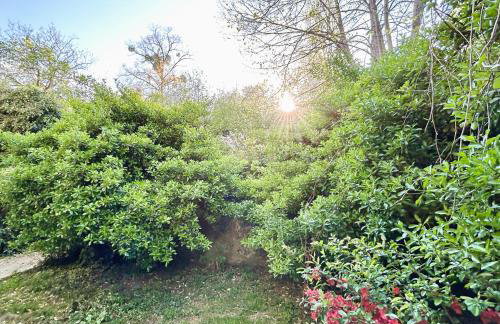 Apartment Silver Star with parking - Photo 46