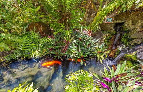 Prince Kuhio 110 - Foto 26