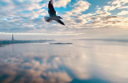 Panoramablick Ostseefjord Schlei - Foto 7