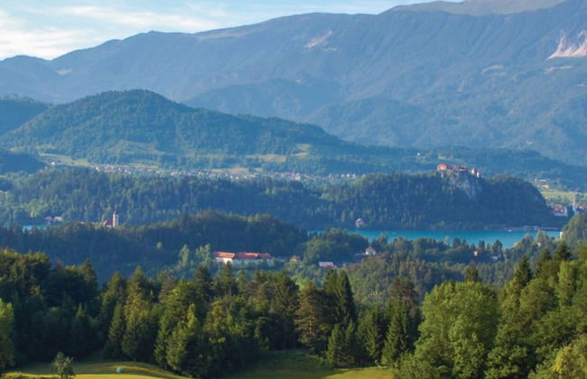 Chalet Kupljenik Near Bled Lake - Photo 53