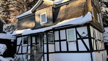 Ferienhaus Winterberg für 10 mit Garten und Grill - Foto 2