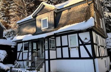 Ferienhaus Winterberg für 10 mit Garten und Grill - Foto 2