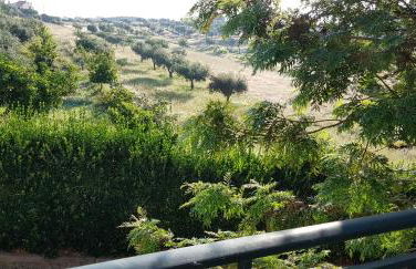 Alto do Sobreiro - Foto 28