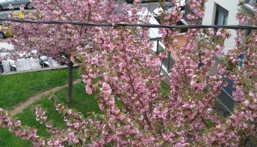 Apartamento Zurbarán - Foto 2