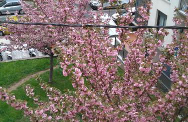 Apartamento Zurbarán - Foto 2