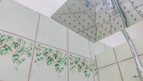 Hostly - Il Gelsomino di San Prospero - Foto 3, Shower