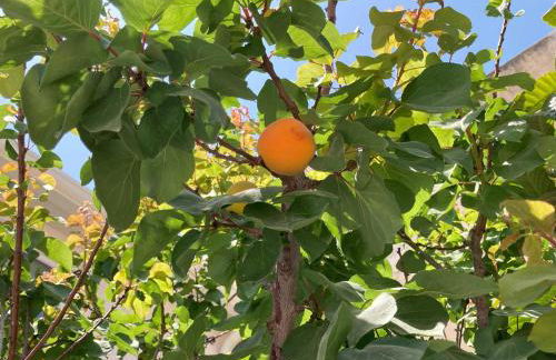 Suliscia open space di Sulemmari - Foto 3