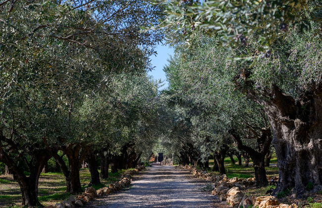 Captivating 5br Pool Villa Close Navarino Golf - Foto 38