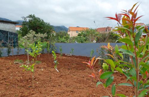 Litlle Zen House - Foto 25