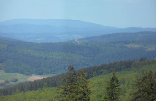 Dog-friendly Holiday Home in the Knull - Foto 53