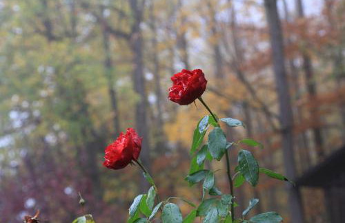 Haus Am Sonnenhügel - Foto 12