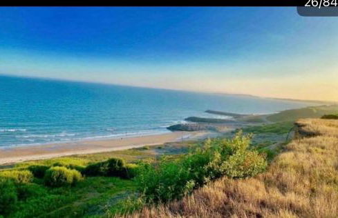 Forest hart - Foto 16