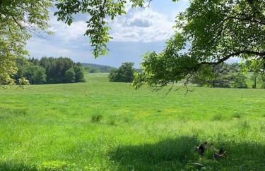 Gîte de Lagarde - Foto 10