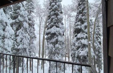 Eagle Point Ski Resort 9 Wooded Ridge Condos - Foto 18