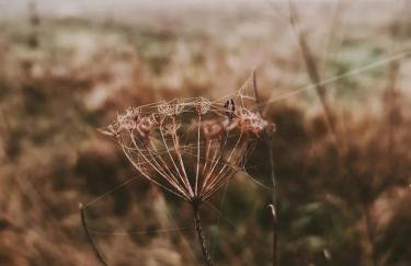 Za Lasem Nad Wodą - Foto 17