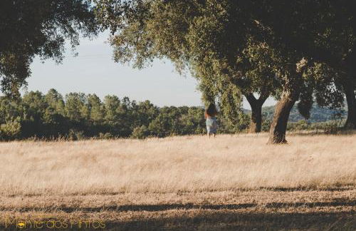 Monte dos Pintos - Foto 45