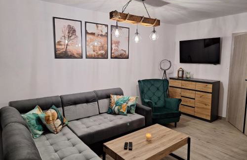 Apartamenty W Zaciszu - Foto 13