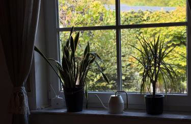 Am Himmelreich - Foto 11