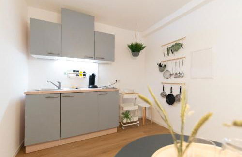 Peter Apartments- Apartment mit eigenem Eingang I 30qm I zentrale Lage I Bad I Küche I Terrasse I TV - Photo 13