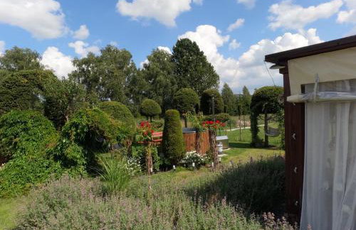 Liwa Garden Krzywa 11 - Foto 62