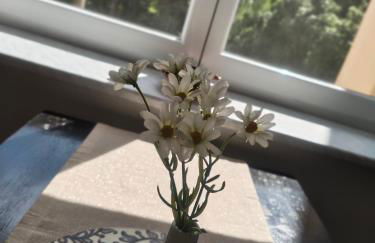 Ferienapartment am Dorfteich - Foto 8