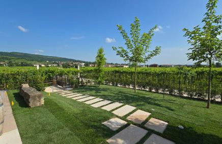 Agriturismo Igino - Relax fra i Vigneti della Valpolicella - Foto 8