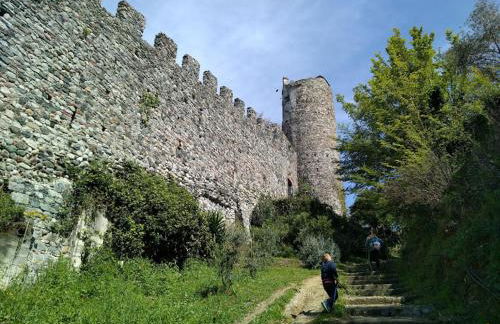 La Calla Rossa - Foto 10