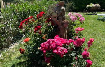 Assisi, la Noce - Foto 26