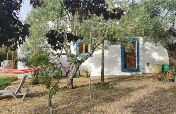 Montadinho Houses - Foto 7