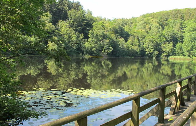 Fasse Comfortable Holiday Residence - Foto 16