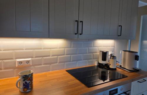 Schwarzwaldblick Rothaus 'Meise' - Photo 5