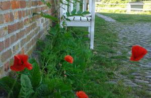 Der historische Silberhof von 1856 - Foto 19