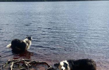 Corrie Fee Lodge - Foto 13