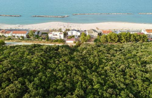 the house of friends - Foto 21