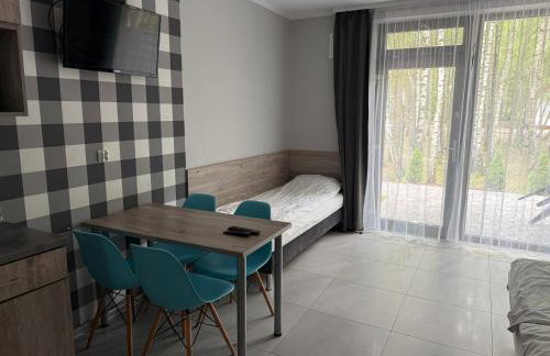 Apartamenty Wilczyca - Photo 52