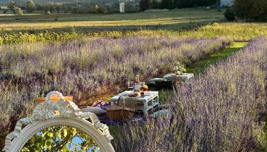 CLAUDIA VACANZA TOSCANA - Appartamento Melograno -10 min da Siena - Foto 3