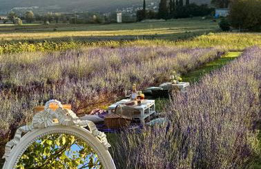 CLAUDIA VACANZA TOSCANA - Appartamento Melograno -10 min da Siena - Foto 3