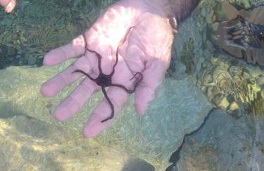 Holiday Home - Apartment Carmen - Foto 66