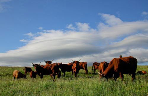 Artist Flat Saint Flour - Foto 32