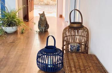 Sailor Apartment sea views - Foto 11